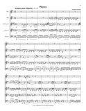 Granados, Enrique % Playera (Taylor) (score & parts) - WW5